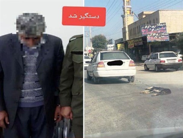 با حیوان آزار در برازجان برخورد شد