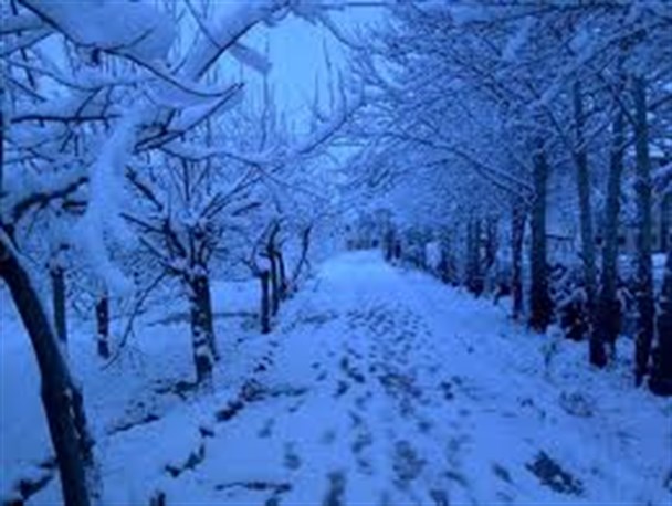 جدول میزان بارندگی در 87 نقطه استان یزد منتشر شد/ هامانه اشکذر رکوردار بارش برف در استان
