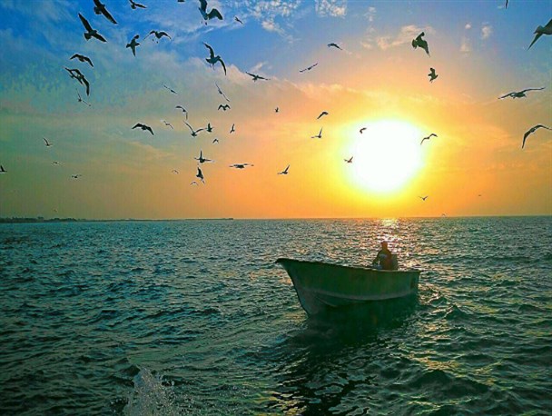 شالوهای زیبای ساحل بوشهر