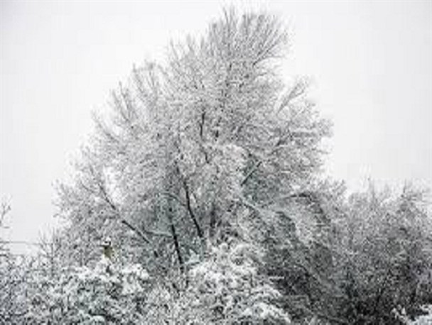 خانه‌نشینی دانش‎آموزان اردبیلی در 19 بهمن برفی/ تردد در جاده‌های استان عادی و بستن زنجیر چرخ الزامی است