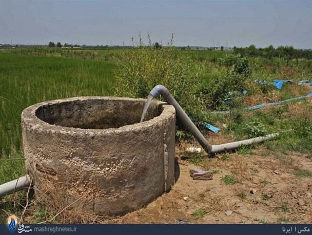 زورشان به گردن‌کلفت‌ها نرسید؛ یقه کشاورز را چاکیدند!