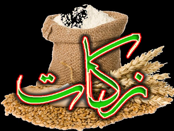 جمع آوری ۸۰۰ میلیون تومانی زکات در ۹ ماهه اول ۹۶ در «جغتای»