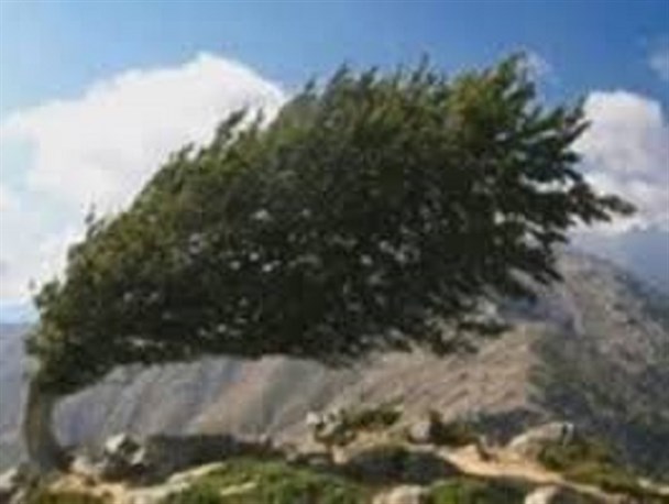 پیش‌بینی وزش باد با سرعت ۹۰ کیلومتر در استان مرکزی