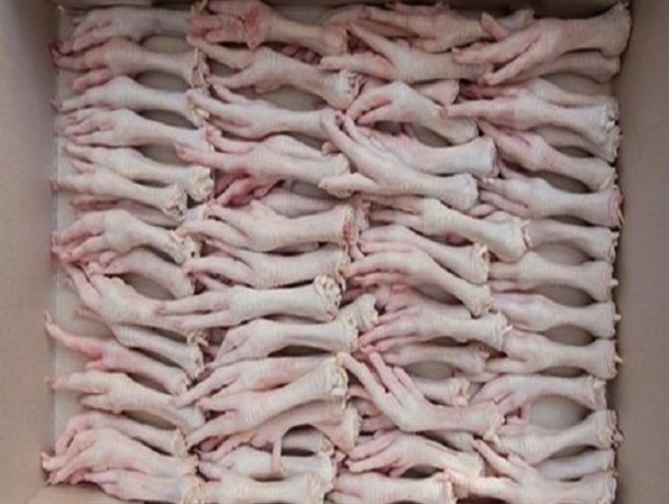 ۳۹ میلیون و ۴۹۳ هزار دلار؛ ارزش صادرات فراورده های خام دامی در ۱۰ ماهه امسال