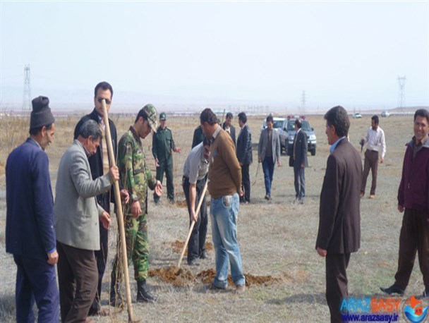 چند اصله نهال به دست مسئولین پلدشت کاشته شد
