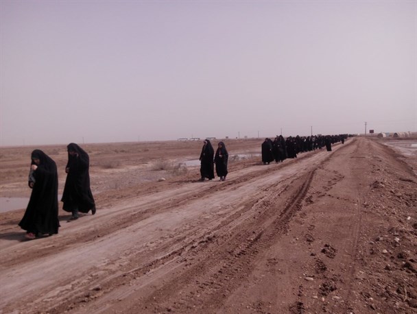 دانشجویان در سرزمین نور + تصاویر