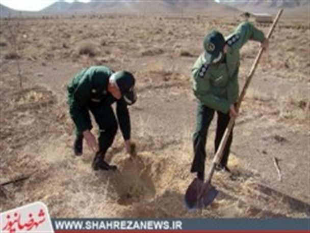 کارکنان ناحیه مقاومت بسیج شهرضا ۲ هزار اصل نهال کاشتند