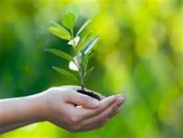 مراسم آیین درختکاری در شهرستان عباس آباد برگزار شد+ تصاویر