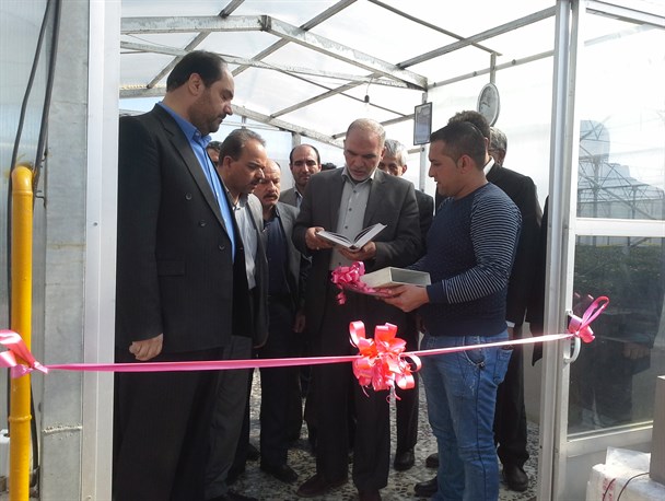 گلخانه توت‌فرنگی شرکت تعاونی مددکار نصرگستر آبیک افتتاح شد