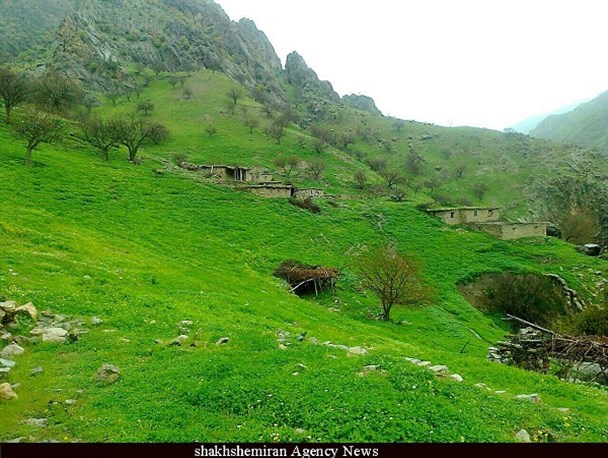 پرونده های حوزه منابع طبیعی خارج از نوبت و به سرعت رسیدگی می شود