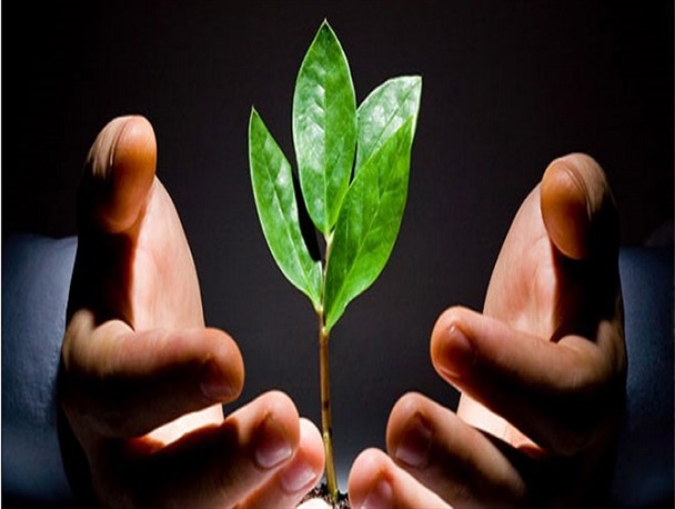 ماجرای آشنایی یک طلبه با طب سنتی