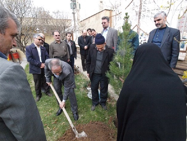 کاشت نهال به یاد شهیدان موسوی نژاد در شرکت گاز زنجان/ خانواده شهدا، مسیر انقلاب را با افتخار و سربلندی طی می کنند