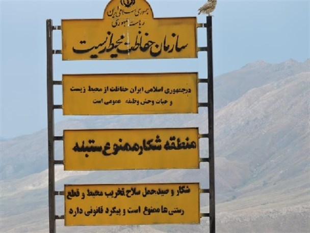 اکو سیستم فریدونشهر؛ پرندگان شکاری/تصاویر