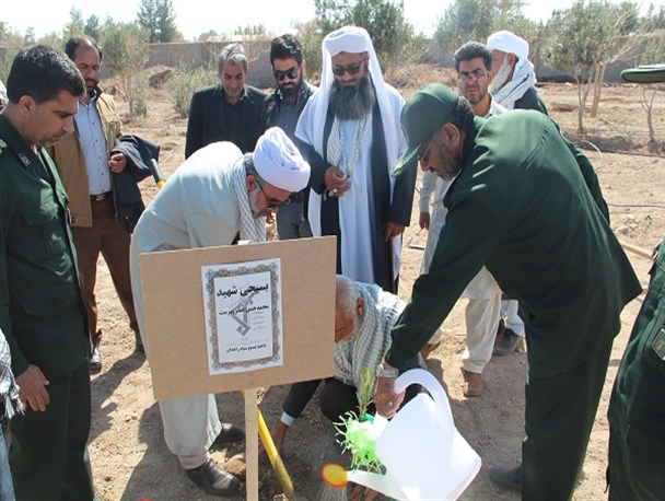 کاشت درخت دوستی و وحدت در سیستان وبلوچستان/ غرس 200 اصله درخت به یاد شهدای شهر در سپاه زاهدان