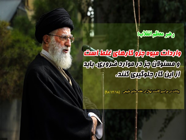 تاکید رهبر انقلاب بر جلوگیری از واردات میوه