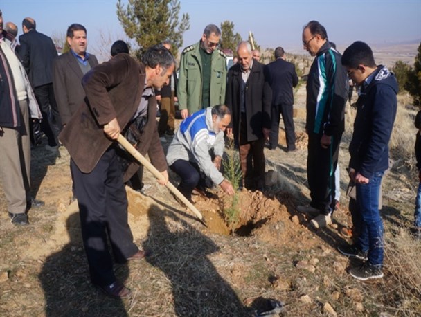 خانواده های شهدا و ایثارگران در میاندوآب، نهال کاشتند+ تصاویر