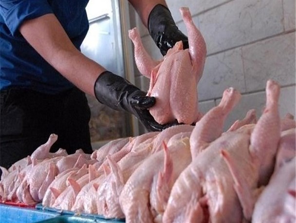 توزیع مرغ ۱۱۵۰۰ تومانی ادامه دارد / ۴۰ تن مرغ طی دو روز در بجنورد توزیع شد