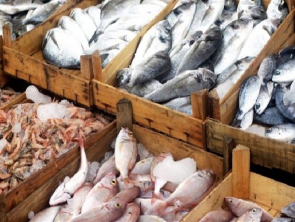 عدم نظارت و برخورد با عرضه کنندگان غیرمجاز ماهی در کرمانشاه/ بازار فروش ماهی وضعیت خوبی ندارد