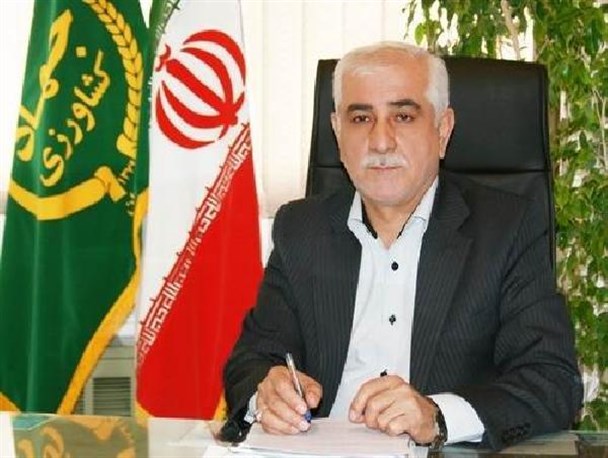 صادرات 80 هزار تن محصولات کشاورزی از مازندران انجام شد