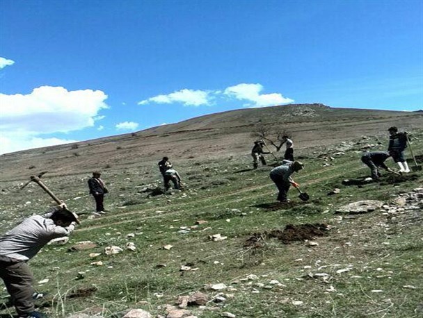 1000اصله نهال در روستای اسمرود خلخال غرص شد/ تصاویر