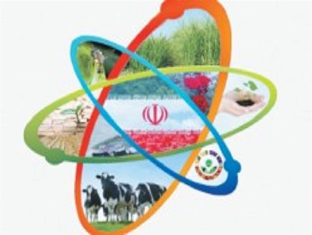 جشن روز هسته ای در سایه تردید/ آیا برجام در راستای تحقق نیازهای انرژی کشور خواهد بود؟