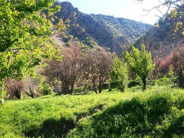 طبیعت زیبای بهاری در خرم آباد+تصاویر