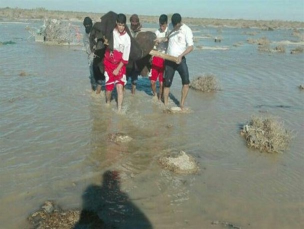 امدادرسانی به دو خانواده عشایری گرفتار رواناب در نیمروز/ مردم به هشدارها توجه کنند