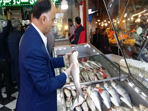 ۴تن فرآورده خام دامی غیرقابل مصرف کشف شد
