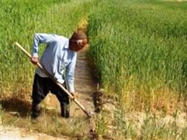 جهت آبرسانی به باغات سردسیری شهرستان چرام بالغ بر 1 میلیارد ریال اعتبار لازم است