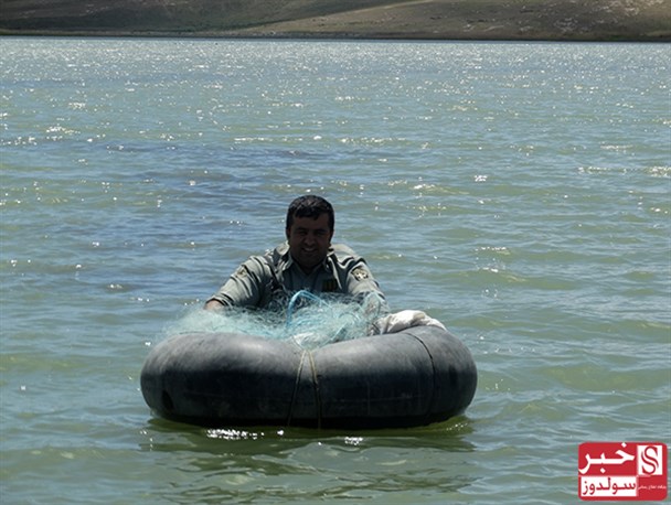 کشف صدها متر تور دام در تالاب سولدوز / حال تالاب های نقده خوب است