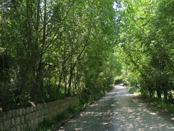 چشم انداز جاده ی روستاهای نسل و گوشخانی از توابع سروآباد از قاب دوربین