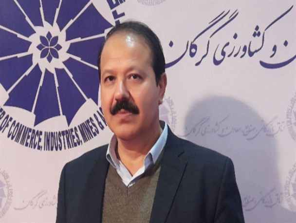 موازی کاری بین دستگاه ها، بخش خصوصی را آزار می دهد
