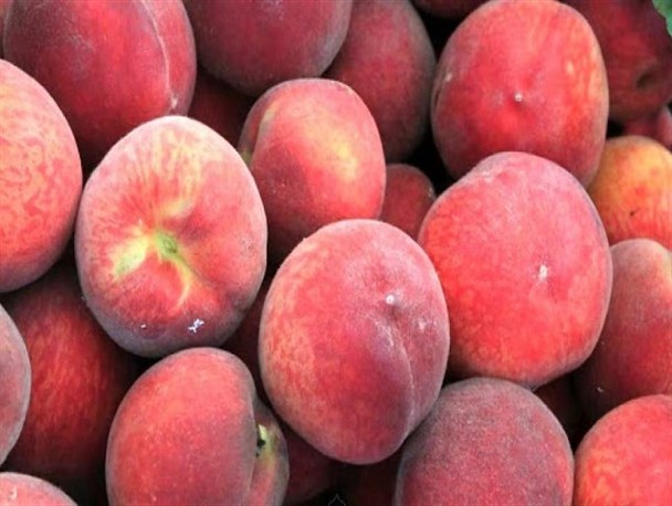 پای هلو به بازار مازندران باز شد/ قیمت ۲۵ تا ۱۲۰ هزار تومانی نوبرانه‌ها در میادین میوه