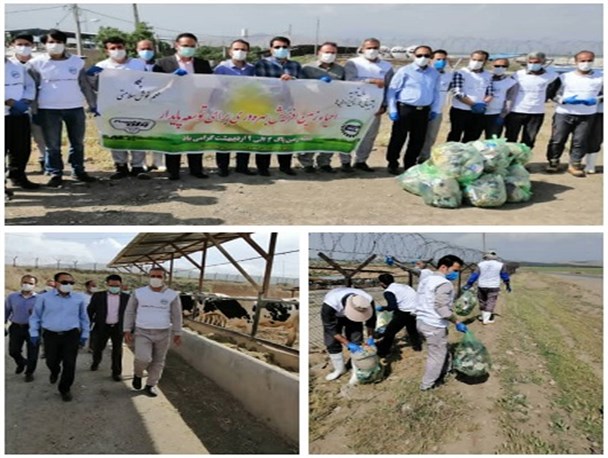 پاکسازی اراضی استان  توسط کشت و صنعت پگاه همدان