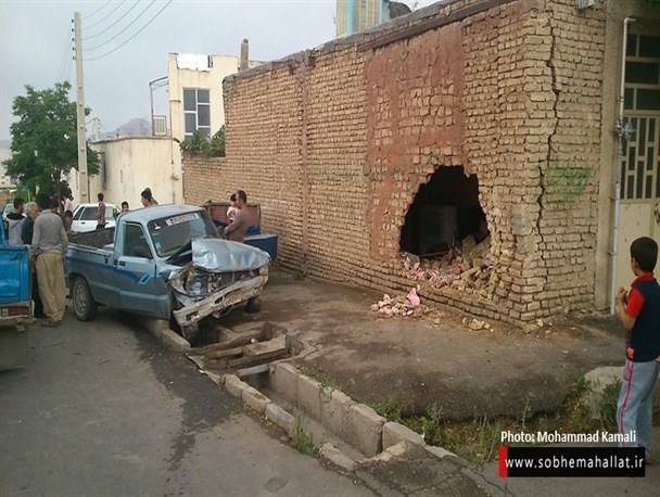 مهمان ناخوانده در آشپزخانه منزل+ عکس