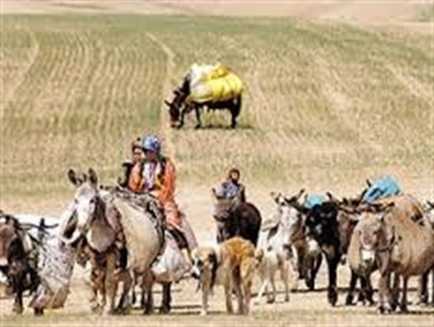 تخصیص 20 درصد کل اعتبارات عمرانی سازمان عشایر به خراسان شمالی