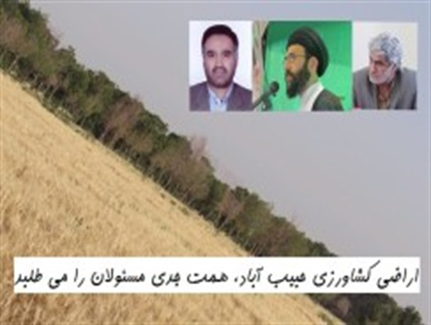 یکپارچه سازی، نیاز جدی زمین های کشاورزی از هم گسیخته حبیب آباد