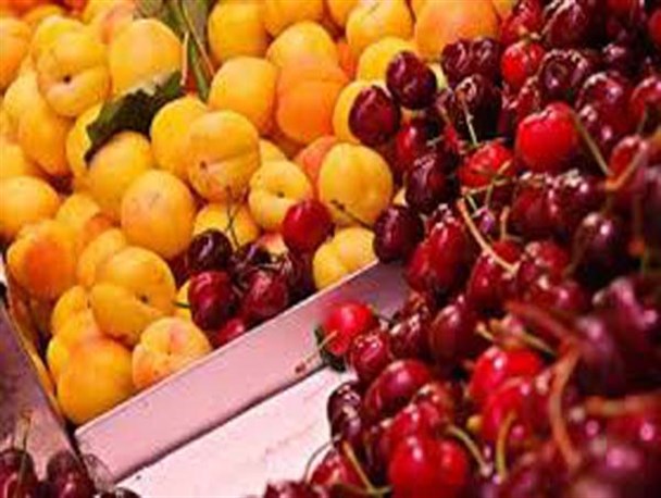 رنگین کمان میوه ها در کهنوج زیر تیغ گرانی