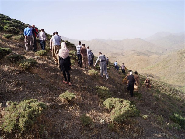 فعالان و حامیان محیط زیست بانه تجلیل می شوند