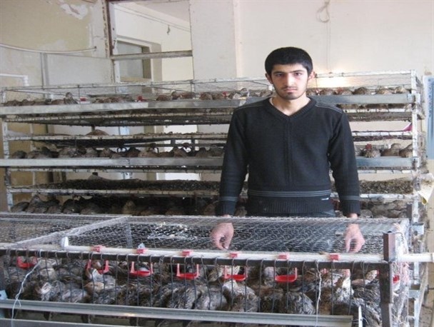 تجلی اقتصاد مقاومتی با پرورش بلدرچین/قادر به تامین تقاضای بازار نیستم