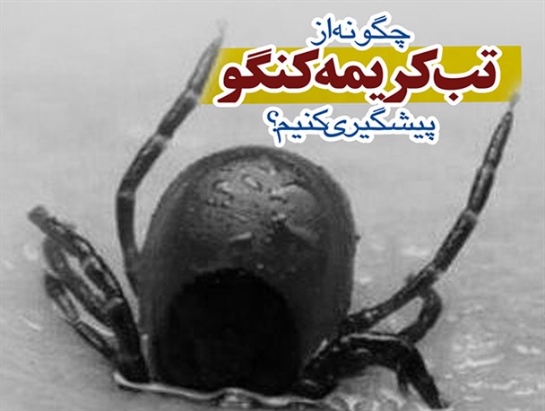 اینفوگرافیک/چگونه از تب کریمه کنگو پیشگیری کنیم؟