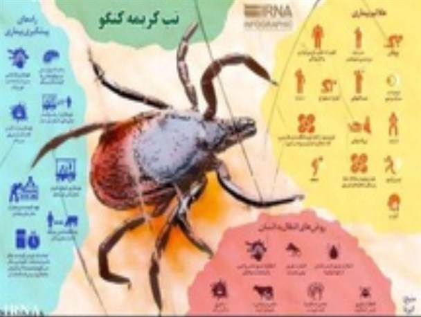 هیچ مورد مبتلا به تب کریمه کنگو در یزد نداشته‌ایم / مردم  به شایعات اهمیت ندهند