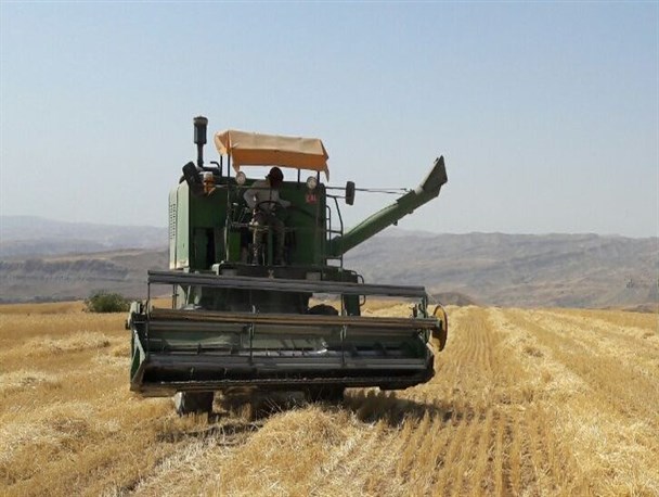 برداشت ۴ نوع محصول زراعی از مزارع شهرستان رازوجرگلان / خرید گندم وجو در پنج مرکز خرید