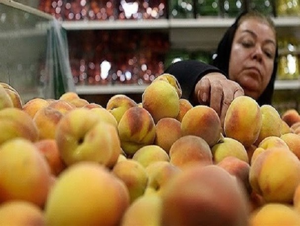 تب‌ و تاب خرید هلو در میادین میوه و تره بار