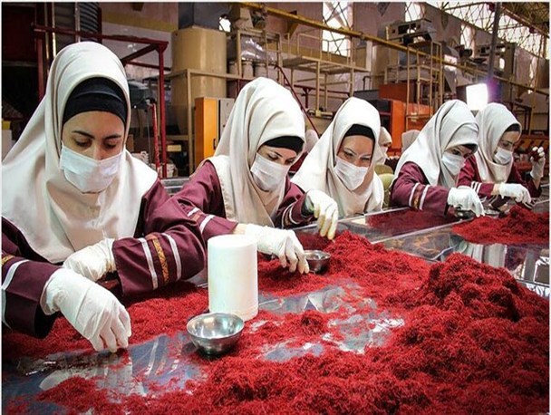 زنان؛ نیروی کار ارزان در شهر یاسوج/ حقی که به راحتی ضایع می‌شود