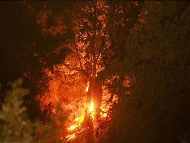 جزئیات حادثه حریق بوستان پردیسان تهران اعلام شد