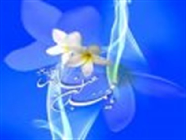 بی حجابی و ضرورت توجه مسئولین