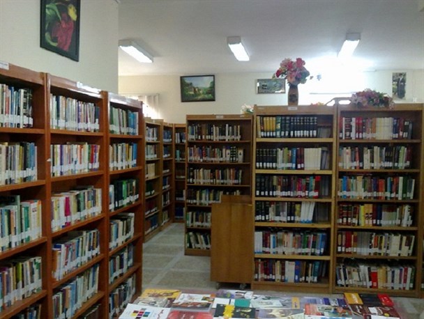بخش کودک در کتابخانه‌های استان لرستان راه‌اندازی می‌شود+فیلم