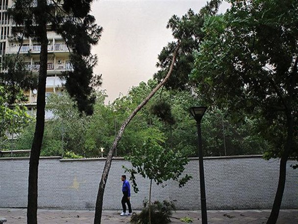 هوای استان 6 الی 8 درجه خنک می شود