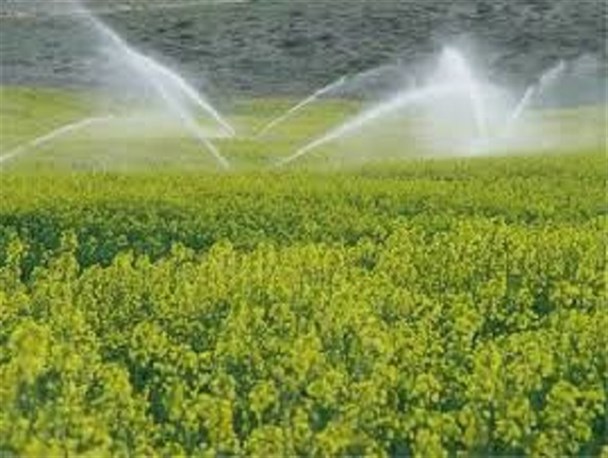 محدودیت منابع آب؛ چالش کشاورزی فارس/برای کشت گیاهان از روش گلخانه‌ای استفاده شود